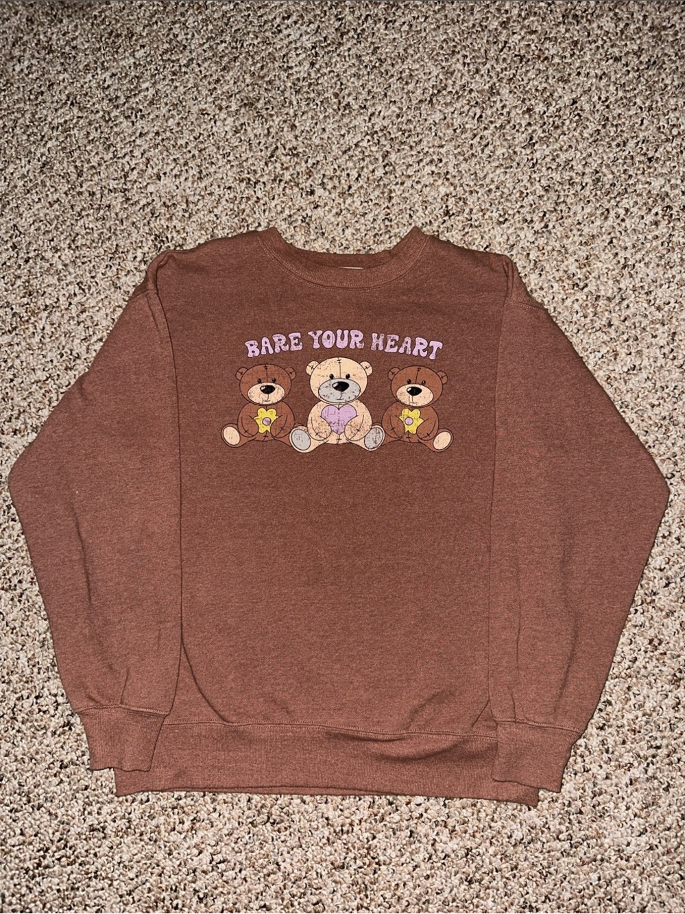 Brown Graphic Crewneck Sweatshirt with Teddy Bear Design